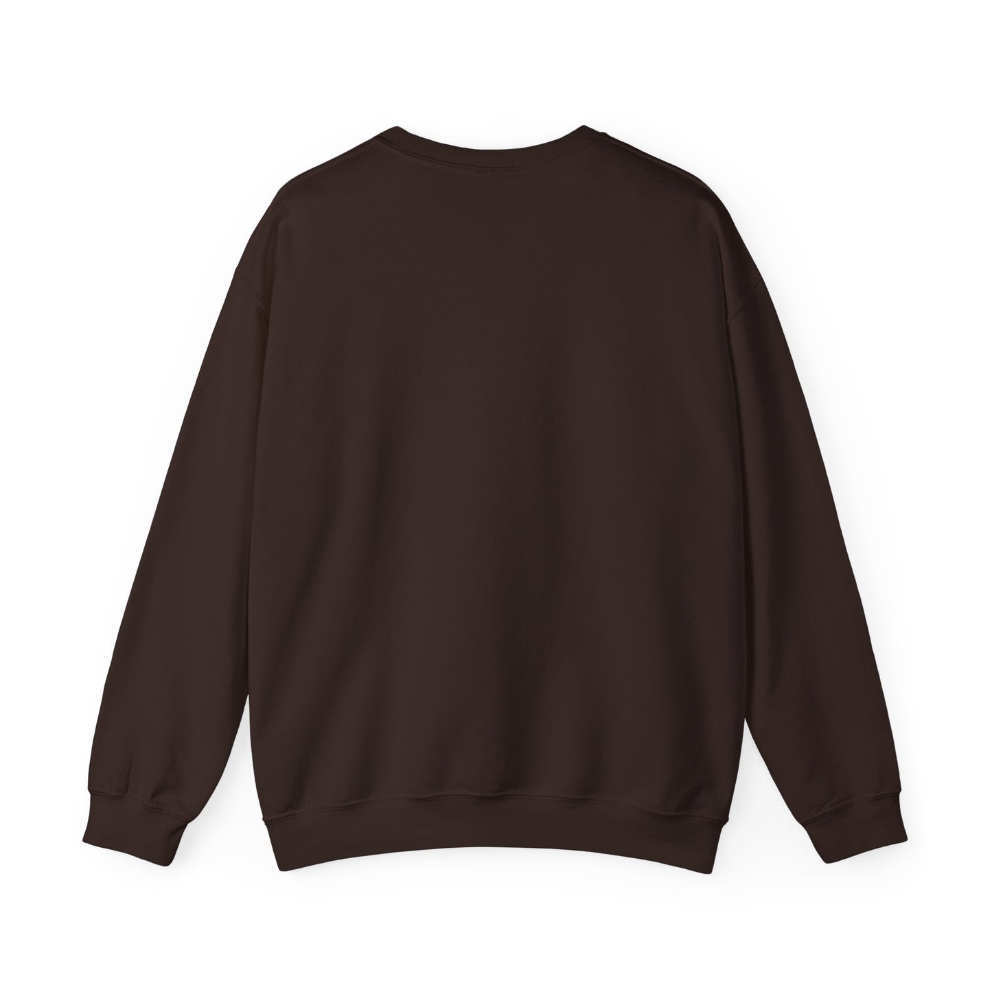 Emotional Support Latte Sweatshirt – Cozy Fall Crewneck for Coffee Lovers, Aesthetic Oversized Pullover