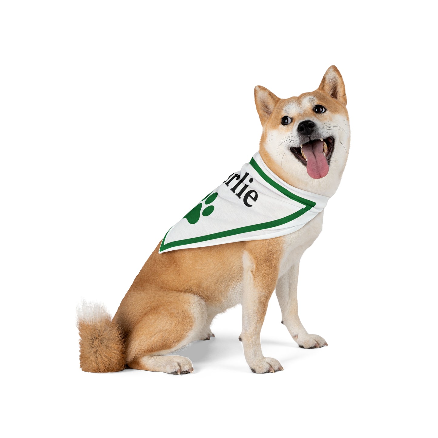 Custom Dog Bandana with Name – Personalized Pet Bandana with Paw Print – Adjustable Dog Scarf for Small to Large Dogs