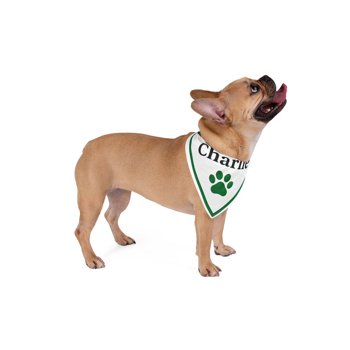 Custom Dog Bandana with Name – Personalized Pet Bandana with Paw Print – Adjustable Dog Scarf for Small to Large Dogs